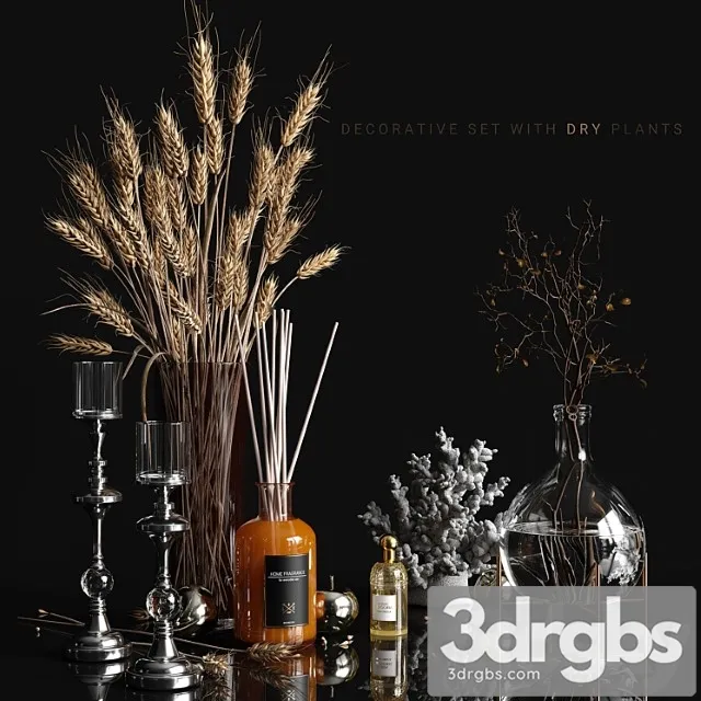 Decorative Set With Dry Plants 2 3D Model Download Decorative Set With Dry Plants 2 3D Model Download