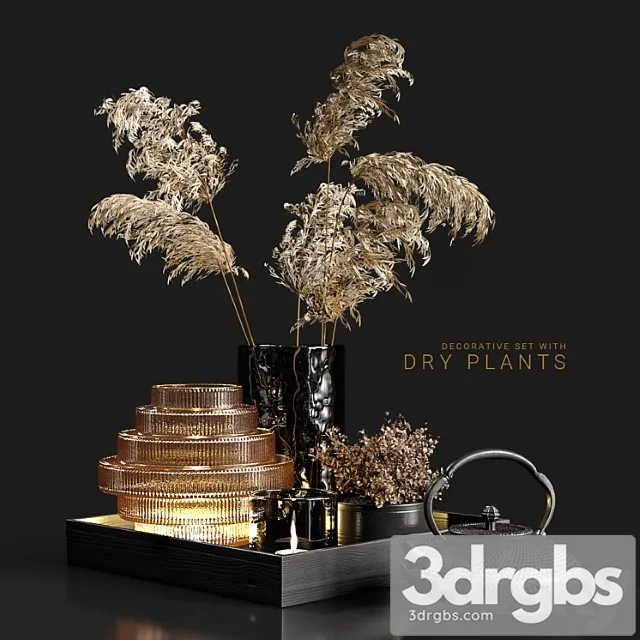 Decorative set with dry plants 3 3D Model Download Decorative set with dry plants 3 3D Model Download