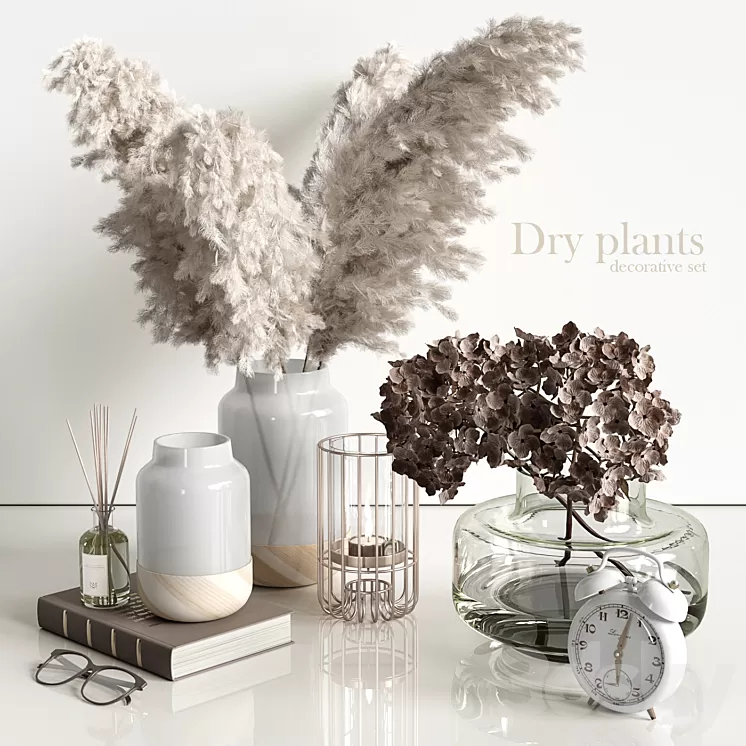 Decorative set with dry plants 4 3D Model