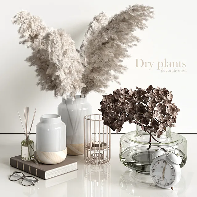Decorative set with dry plants 4 3DModel