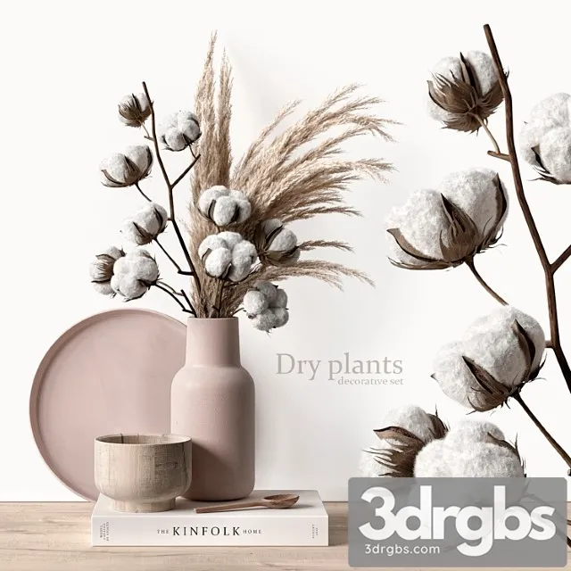 Decorative set with dry plants 5 3D Model Download Decorative set with dry plants 5 3D Model Download