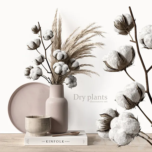 Decorative set with dry plants 5 3D Model