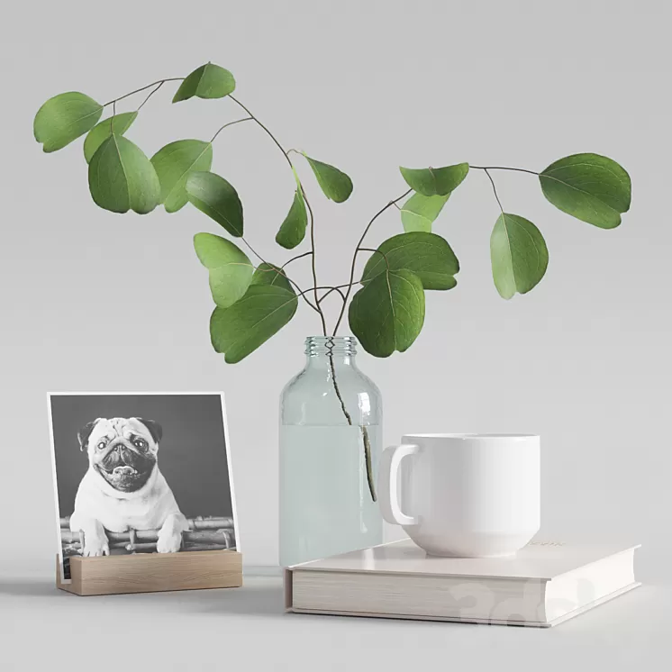 decorative set with eucalyptus branch 2 3D Model