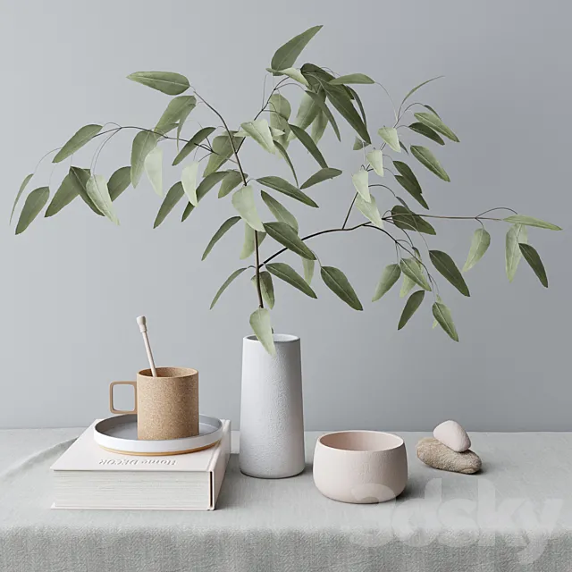 decorative set with eucalyptus branch 3DModel