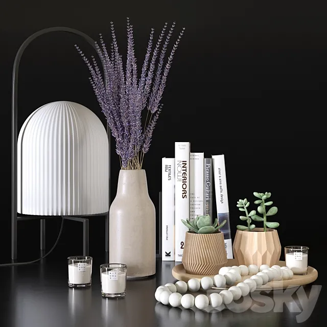 Decorative set with lavander and succulents 3D Model