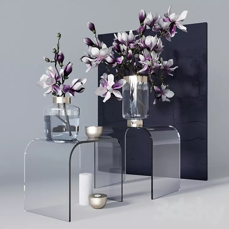Decorative set with magnolia 3D Model