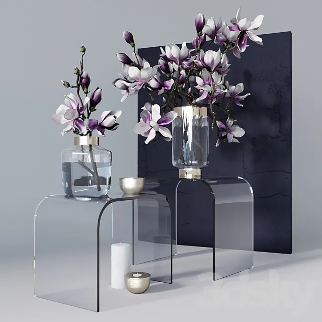 Decorative set with magnolia 3DModel