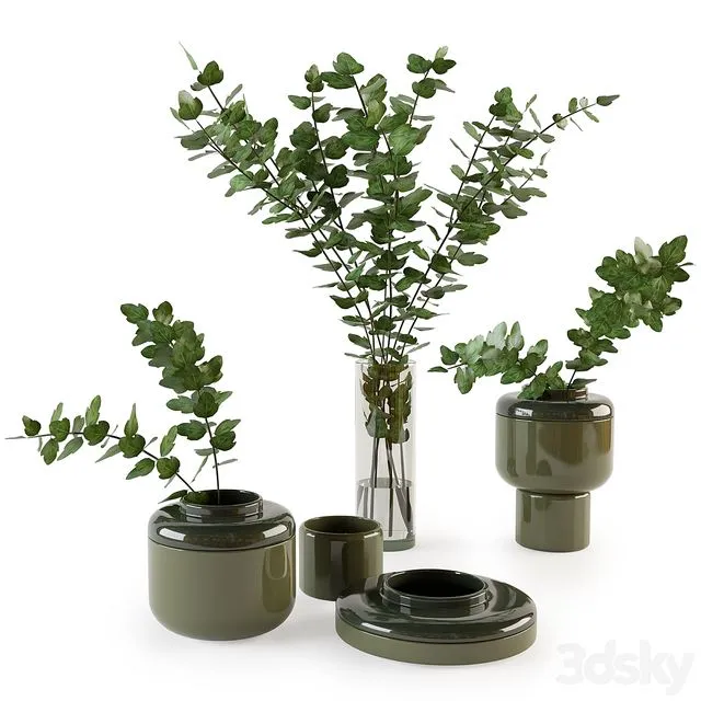 Decorative set with plants 3D Model