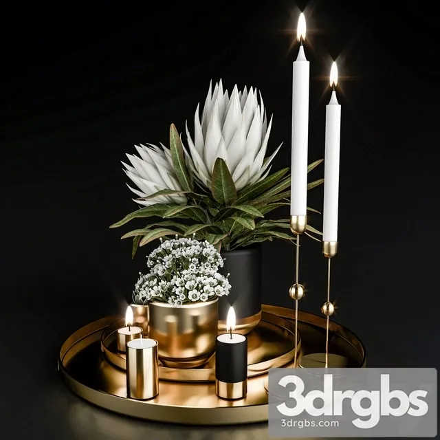 Decorative Set With Plants in Pots 3D Model Download Decorative Set With Plants in Pots 3D Model Download