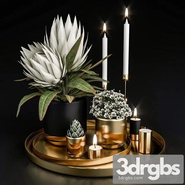 Decorative set with plants in pots. 3D Model Download Decorative set with plants in pots. 3D Model Download