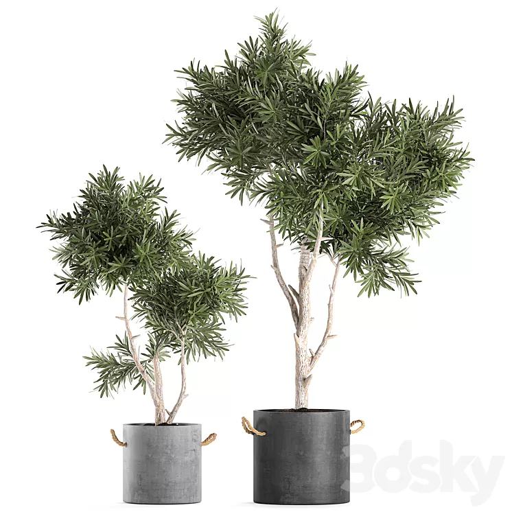 Decorative small tree in a black concrete pot topiary. Set 741. 3D Model Decorative small tree in a black concrete pot topiary. Set 741. 3D Model