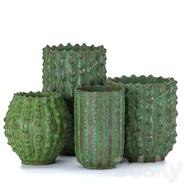 Decorative vases Cactus 3D Model