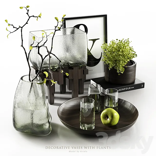 Decorative vases with plants 3DModel