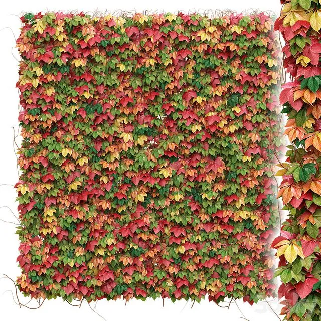 Decorative wall of autumn leaves of grapes 3D Model Decorative wall of autumn leaves of grapes 3D Model