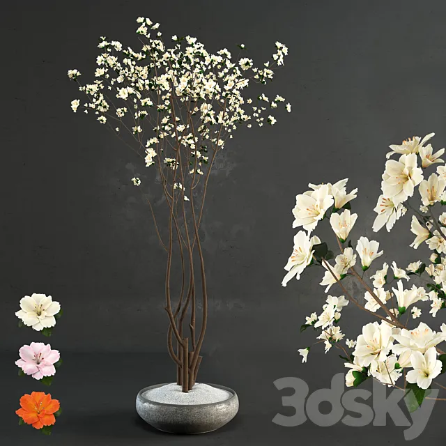 Decorative wood 3D Model Decorative wood 3D Model