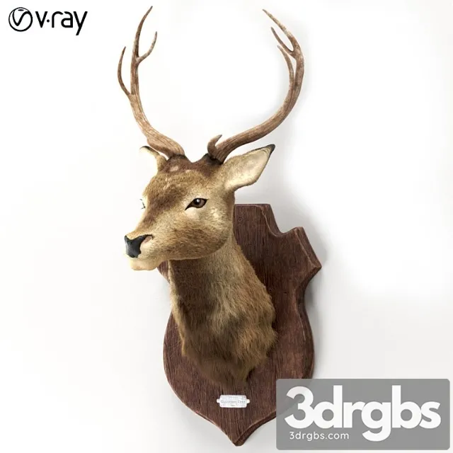 Deer 3D Model Download