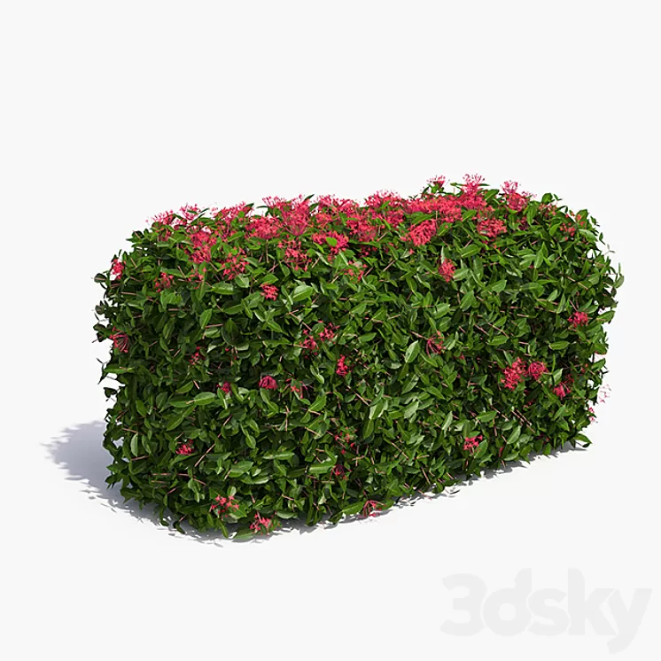 Delightful hedges 3D Model
