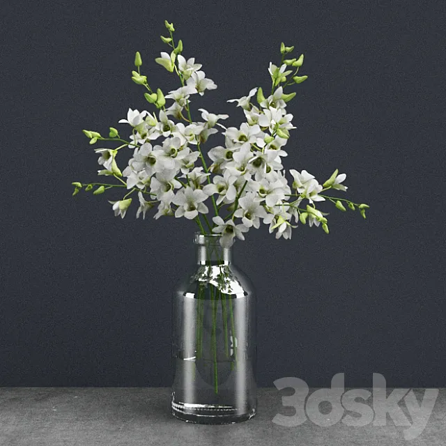 Dendrobium lineale 3D Model Dendrobium lineale 3D Model