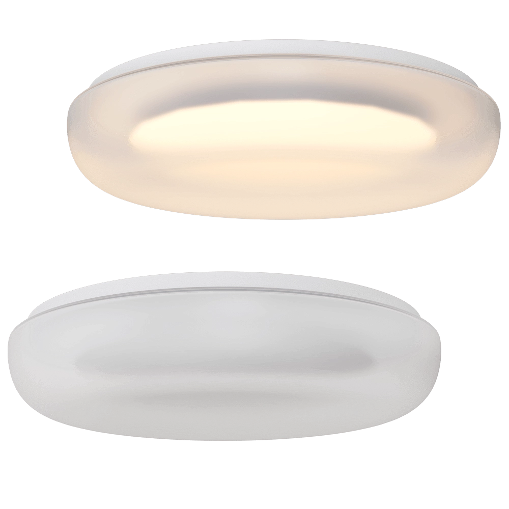 DENKIRS – Spot recessed luminaire DK4600-WW 3D Model