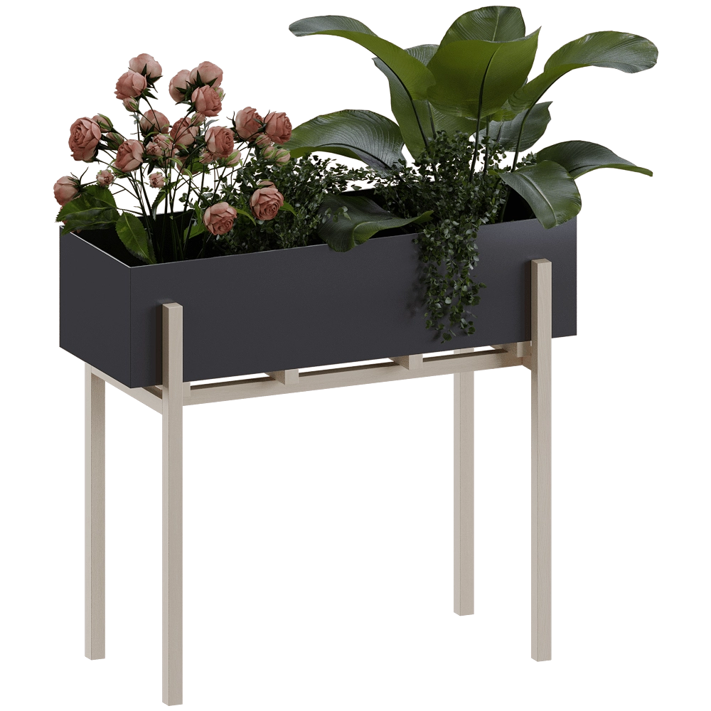 Design House Stockholm – Botanic Stand & Pedestal 3D Model