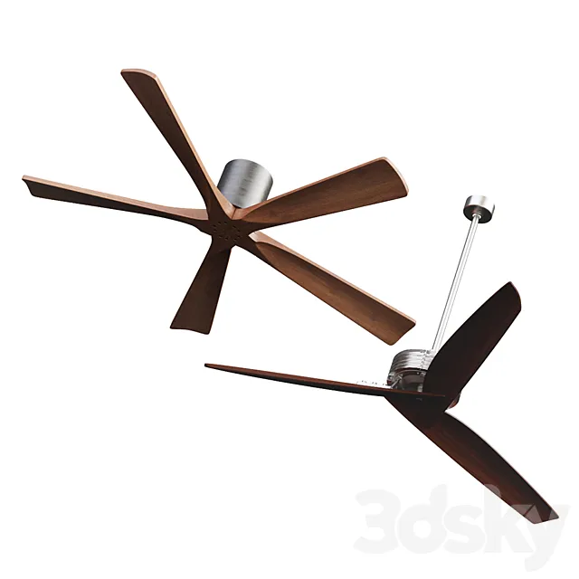 Designer fans x2 3D Model