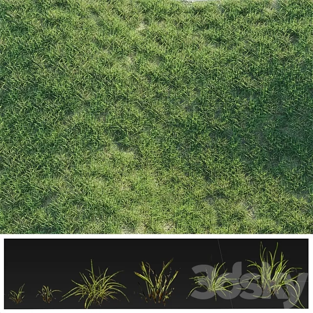 Details Grass 3DModel Details Grass 3DModel