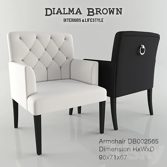 Dialma Brown armchair 3D Model