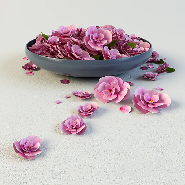 dish flowers 3D Model dish flowers 3D Model