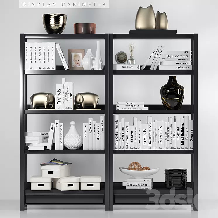 DISPLAY CABINET 3D Model