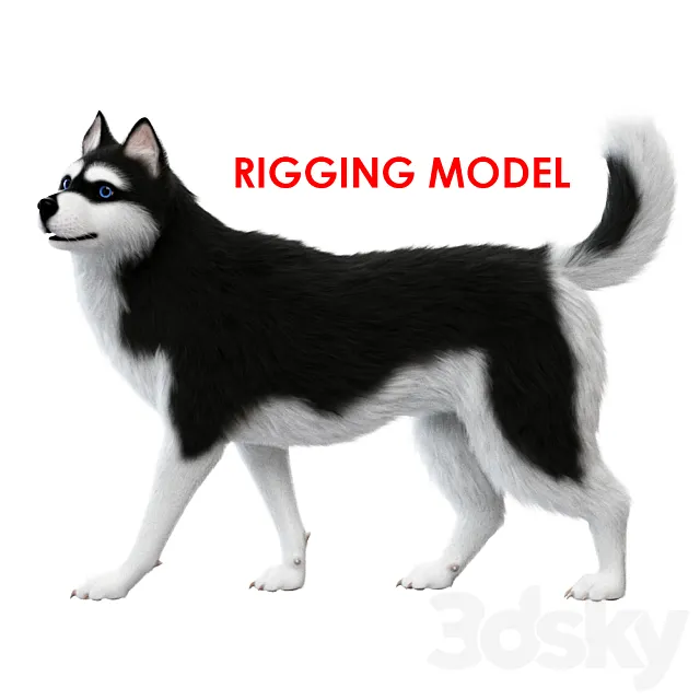 Dog (rig) 3D Model