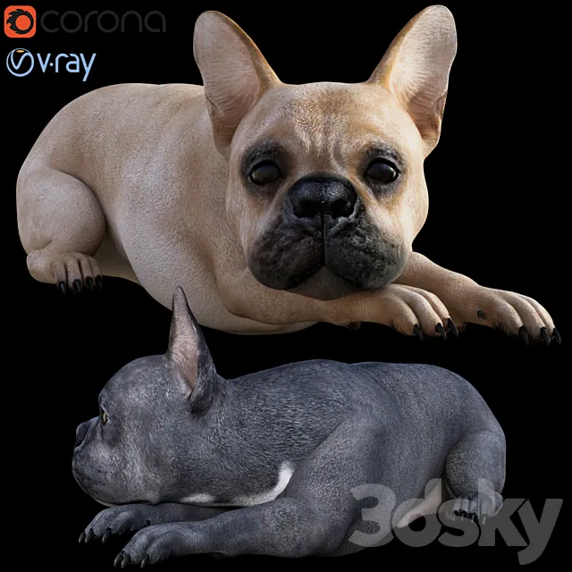 Dog_Bull 3D Model