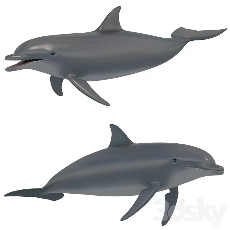 Dolphin bottlenose dolphin 3D Model - 3DSKY Decor Helper