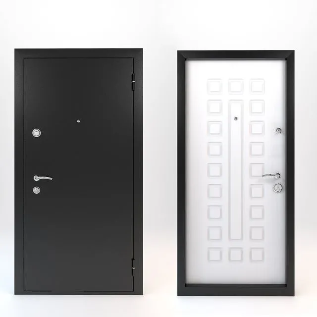 Doors are metal-wood (2 items) 3D Model