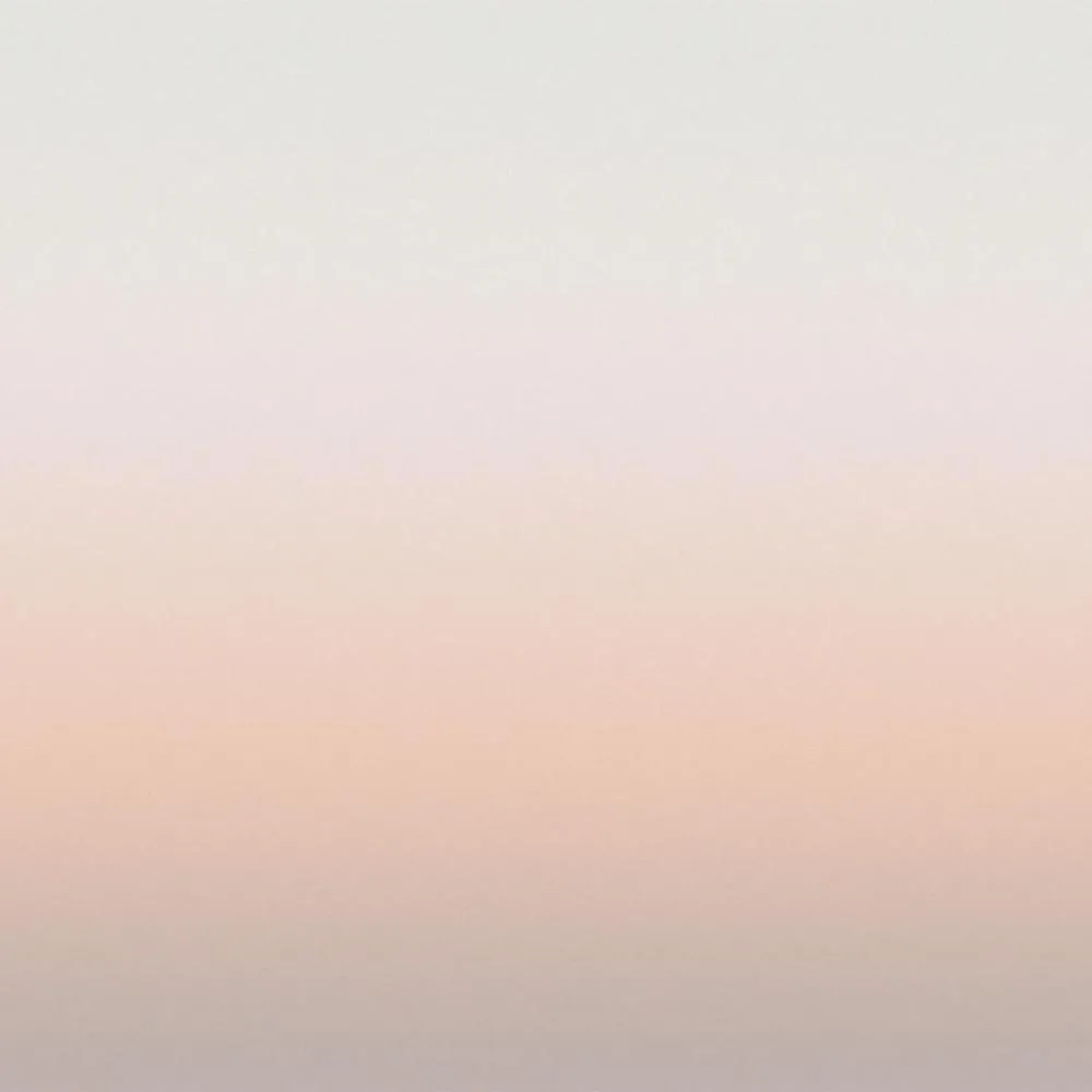 Dress-wall – Gradient wallpaper Cloudy pink 3D Model