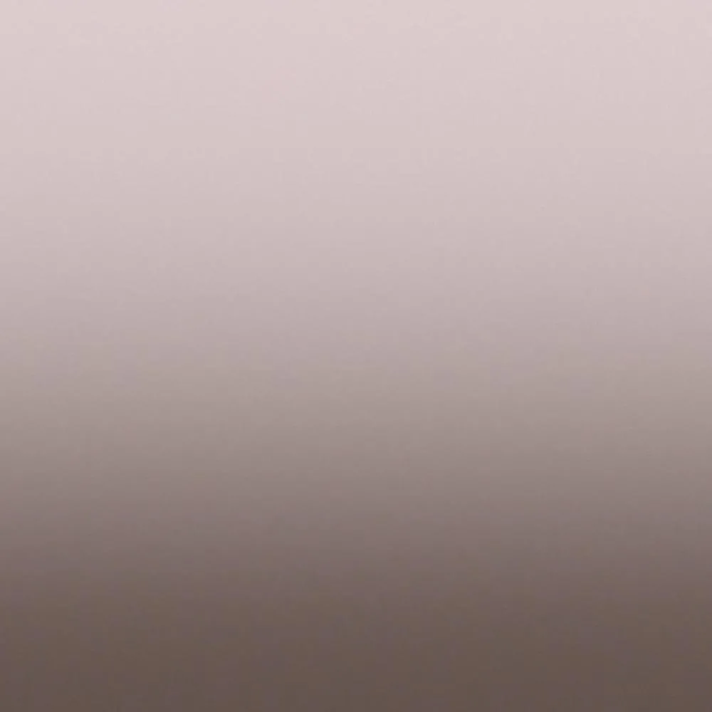 Dress-wall – Gradient wallpaper Cold brown 3D Model