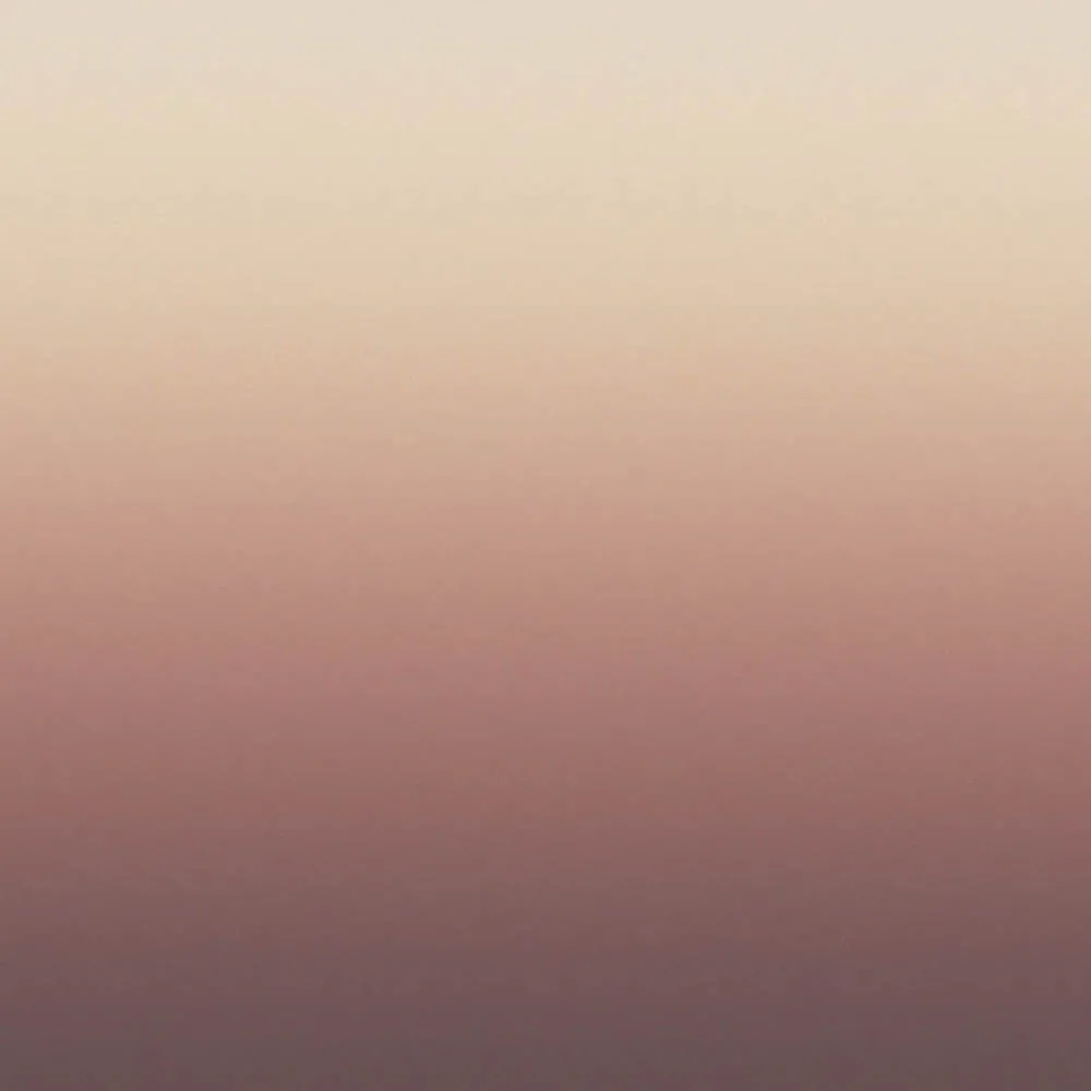 Dress-wall – Gradient wallpaper Pink-brown 3D Model