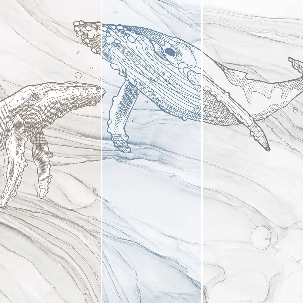 Dress-wall – Wallpaper Comandor 3D Model