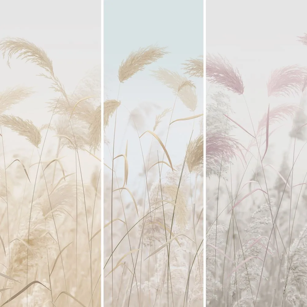 Dress-wall – Wallpaper Cortaderia 3D Model