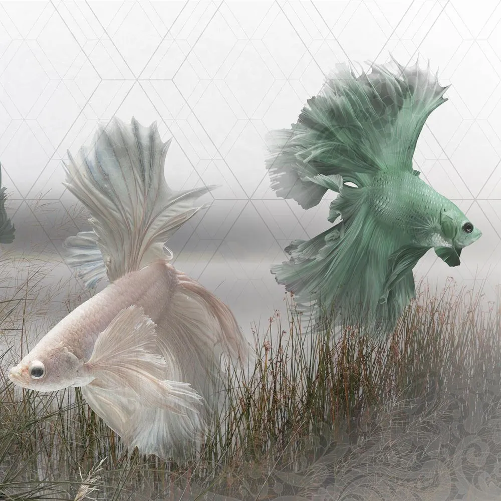 Dress-wall – Wallpaper Fish Betta 3D Model Dress-wall – Wallpaper Fish Betta 3D Model