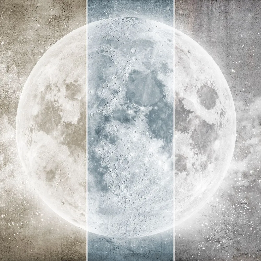 Dress-wall – Wallpaper Full moon 3D Model