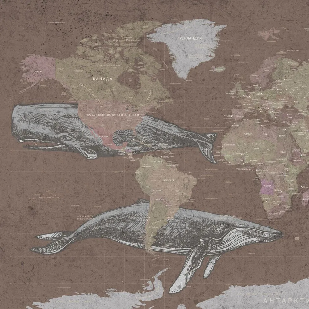 Dress-wall – Wallpaper World map with whales 3D Model Dress-wall – Wallpaper World map with whales 3D Model