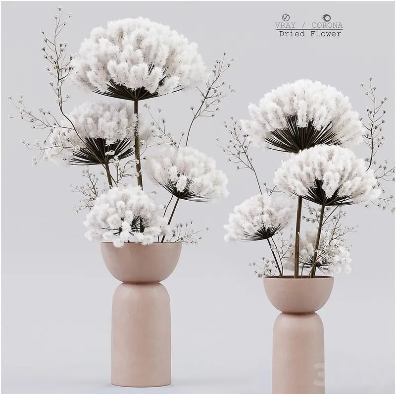 Dried Flower 3D Model