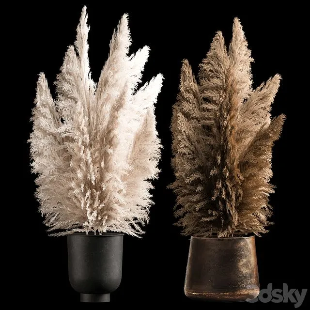 Dried flower bouquet of dried reeds 272 3D Model Dried flower bouquet of dried reeds 272 3D Model