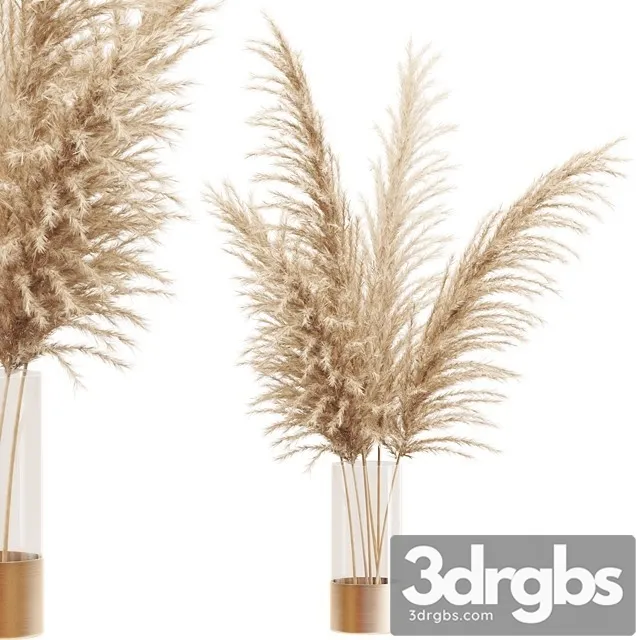 Dried Flower Pampas Grass in Glass Gold Vase 3D Model Download Dried Flower Pampas Grass in Glass Gold Vase 3D Model Download