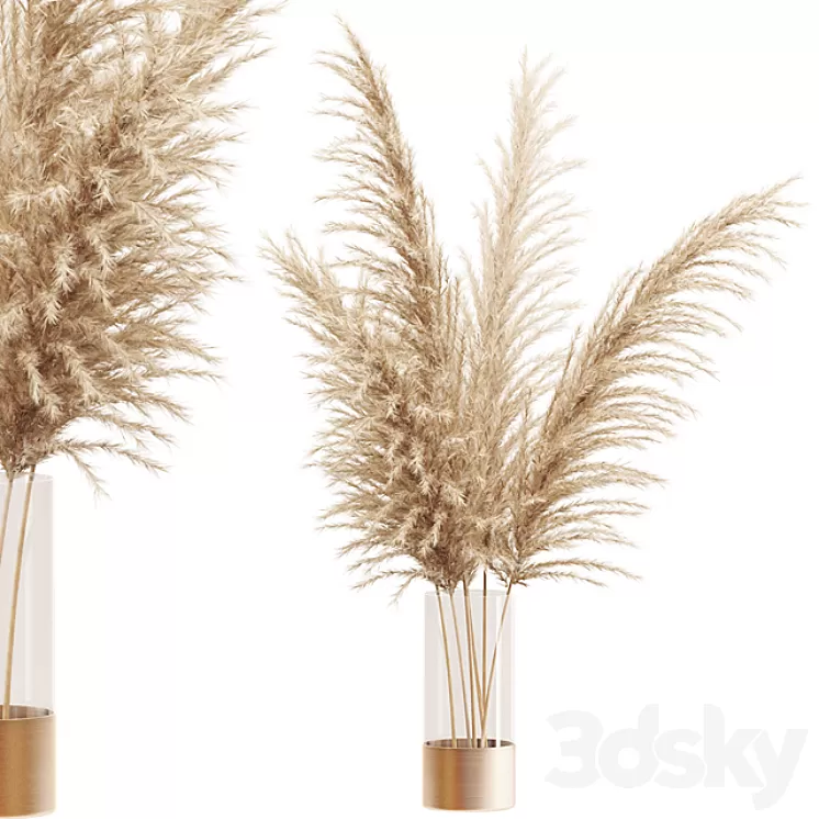Dried flower pampas grass in glass gold vase 3D Model