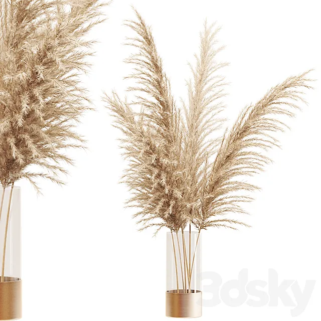 Dried flower pampas grass in glass gold vase 3D Model Dried flower pampas grass in glass gold vase 3D Model