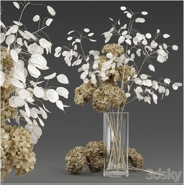 Dried flowers 3D Model Dried flowers 3D Model