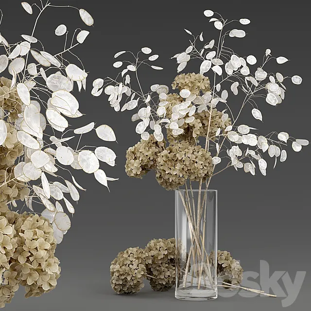 Dried flowers 3D Model Dried flowers 3D Model