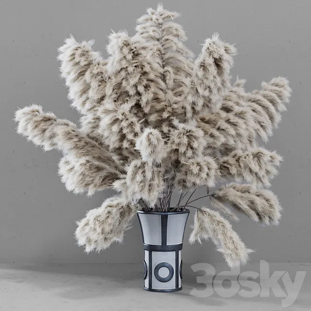 DRIED FLOWERS _ pampas grass 3DModel DRIED FLOWERS _ pampas grass 3DModel