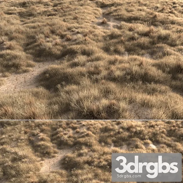 Dried grass Dried grass